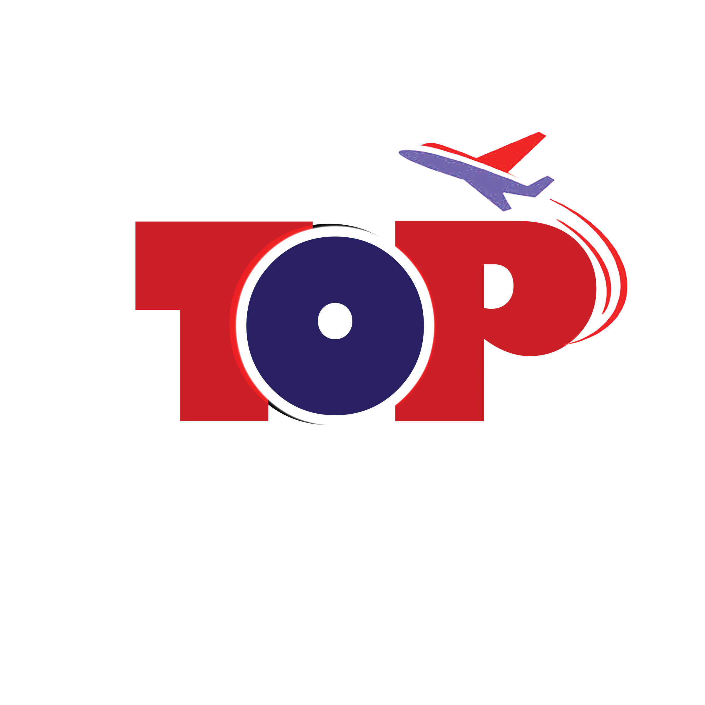 LOGO TOPZONE